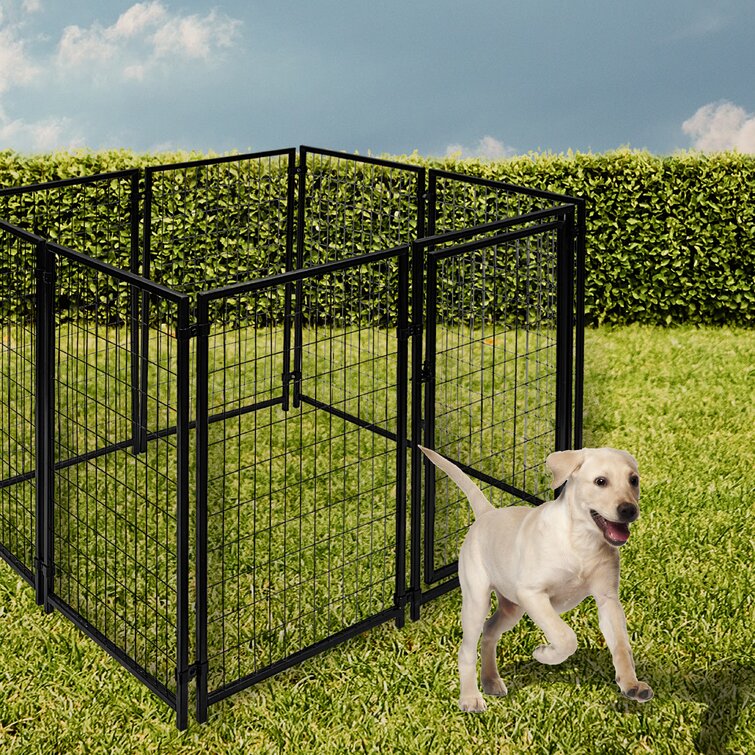 Cottageview hotsell dog kennel